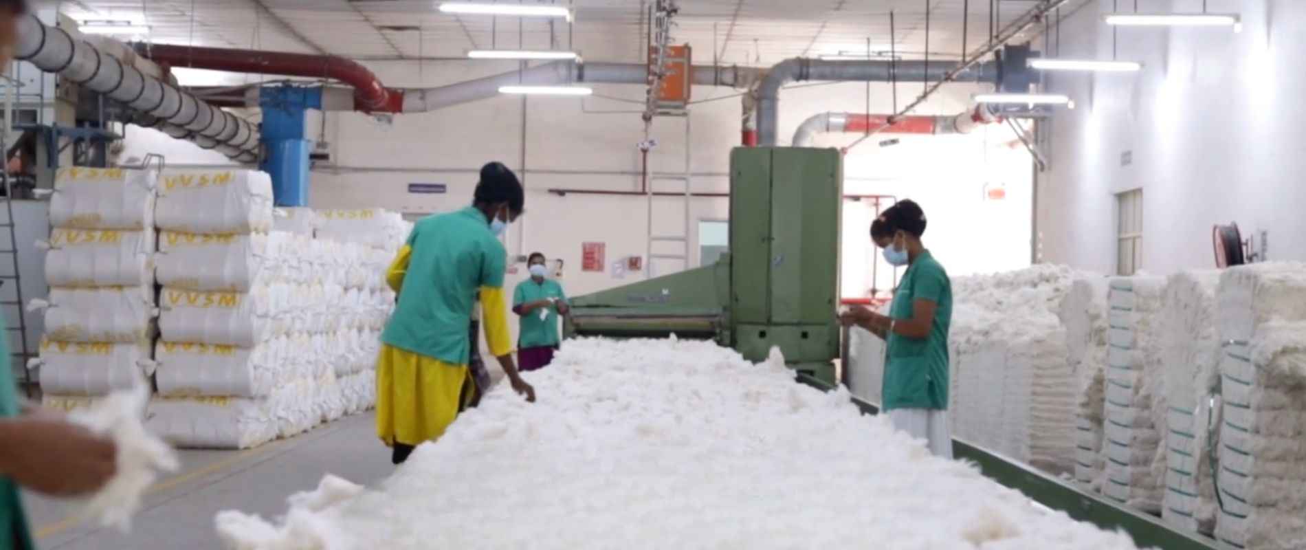 A&A Organic Cotton Sustainability: Fashion with Purpose