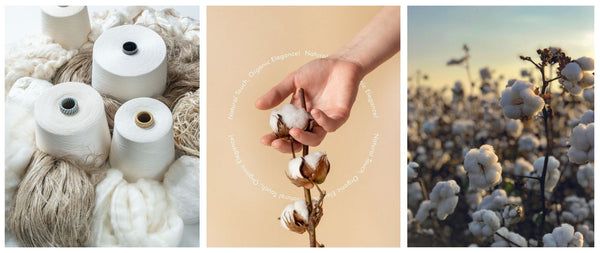 Threads of Humanity: The Story Behind A&A Organic Cotton