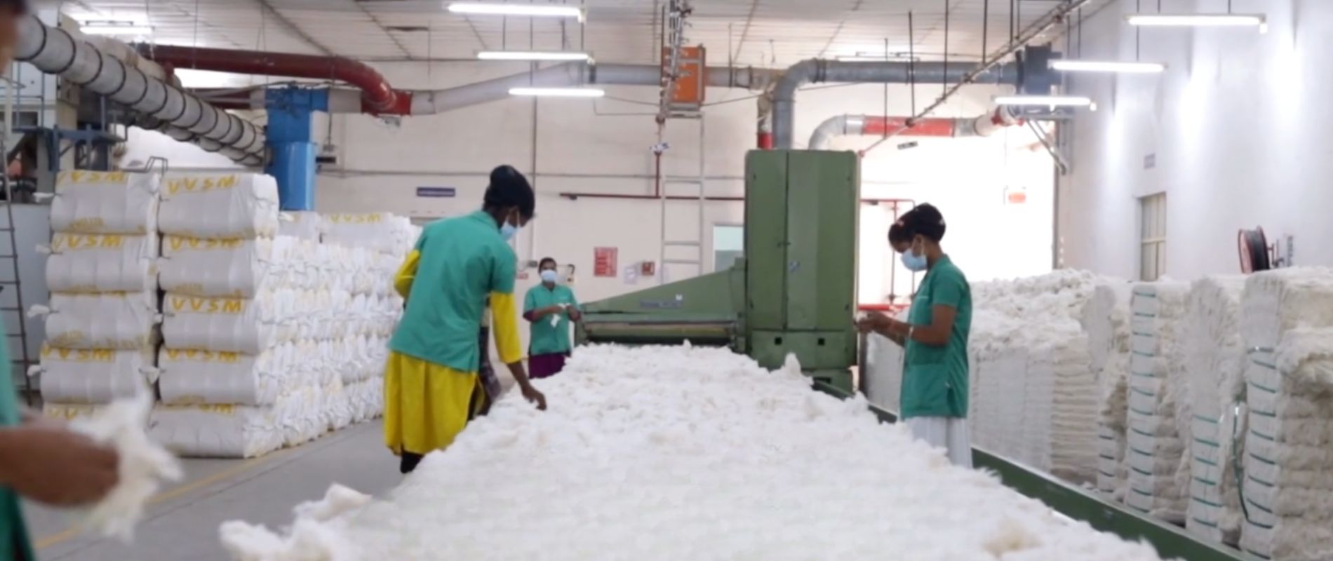 A&A Organic Cotton Sustainability: Fashion with Purpose