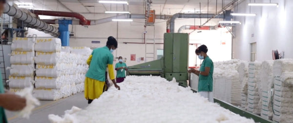 A&A Organic Cotton Sustainability: Fashion with Purpose