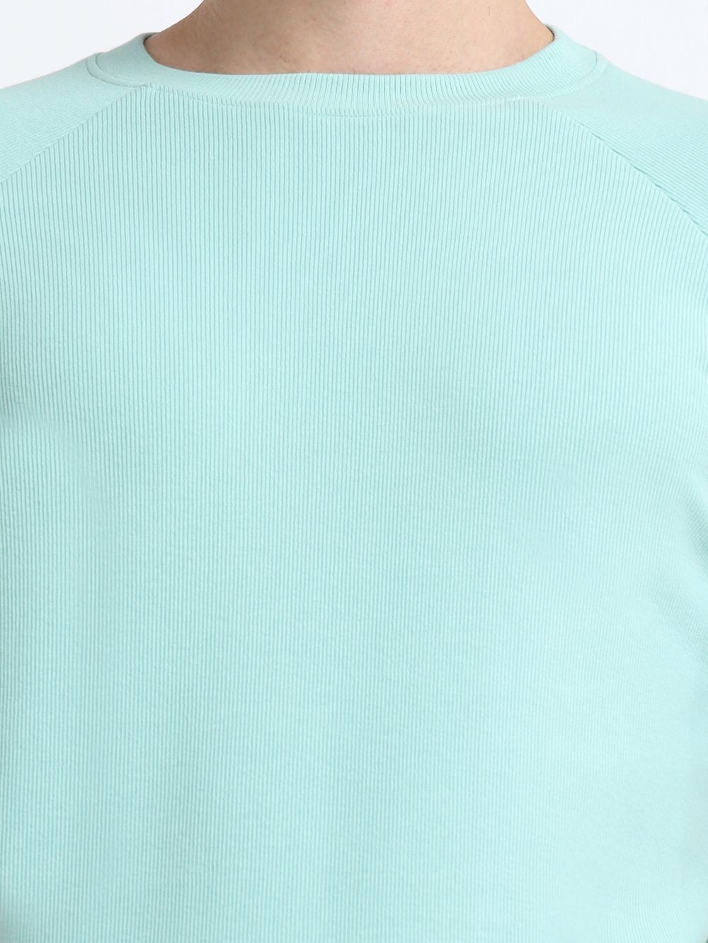 Mens Ragalan Half Sleeve Organic Cotton T-Shirt