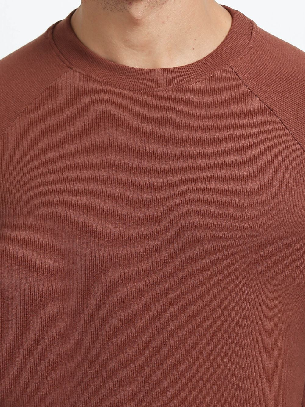 Mens Ragalan Full Sleeve Organic Cotton T-Shirt